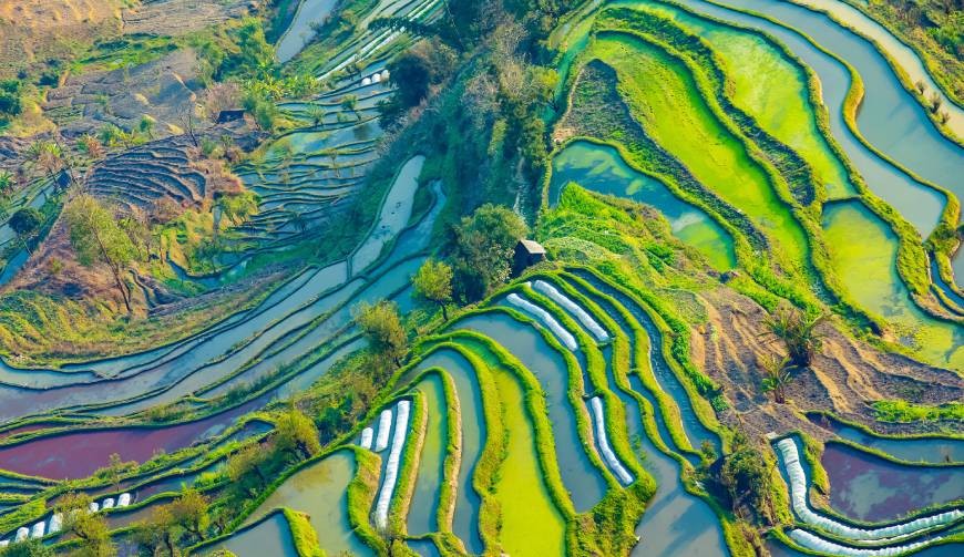 涞水县广告片拍摄公司数字技术驱动的广告革命
